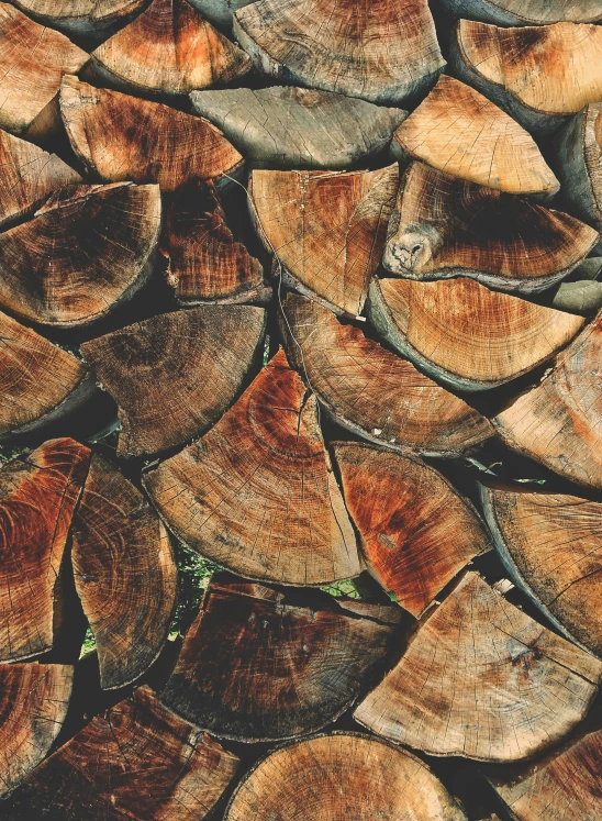 logs are stacked up very close to one another