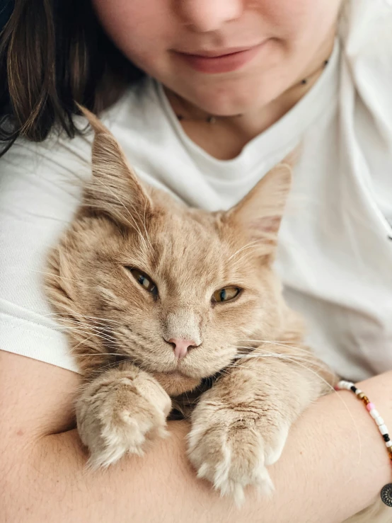 a brown cat with green eyes and white shirt is lying on a woman's arm