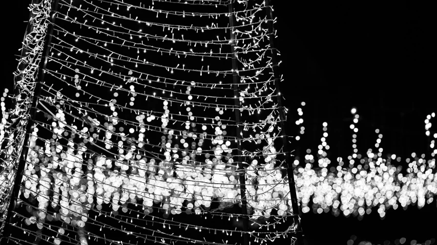 a tree decorated with lights in the dark