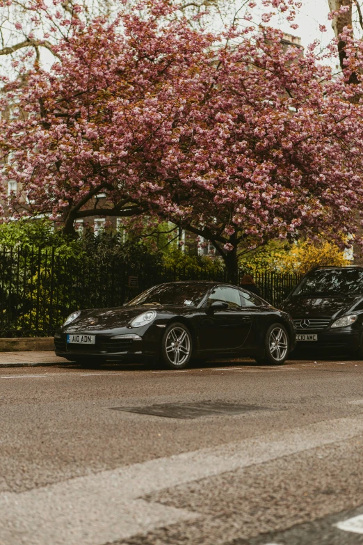 two black cars on street with tree and buildings