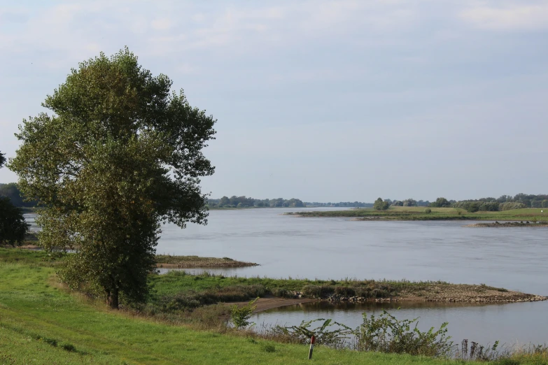 a view of a river and grassy area with trees