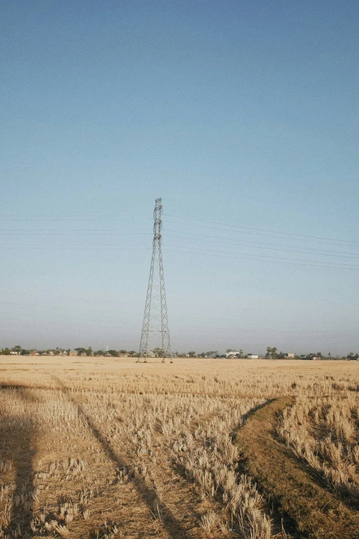 a couple of lines on the dirt in front of a windmill