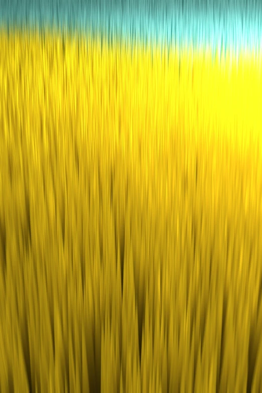 blurry pograph of a grassy area and yellow grass