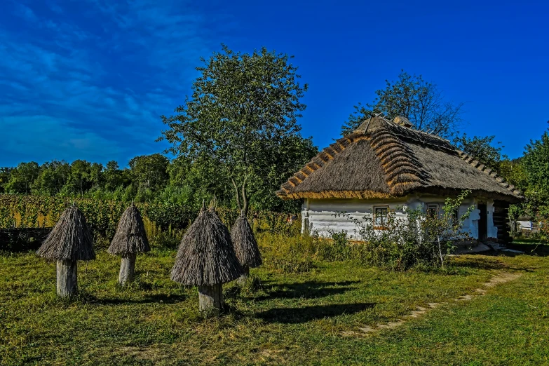 a house is surrounded by a grassy field