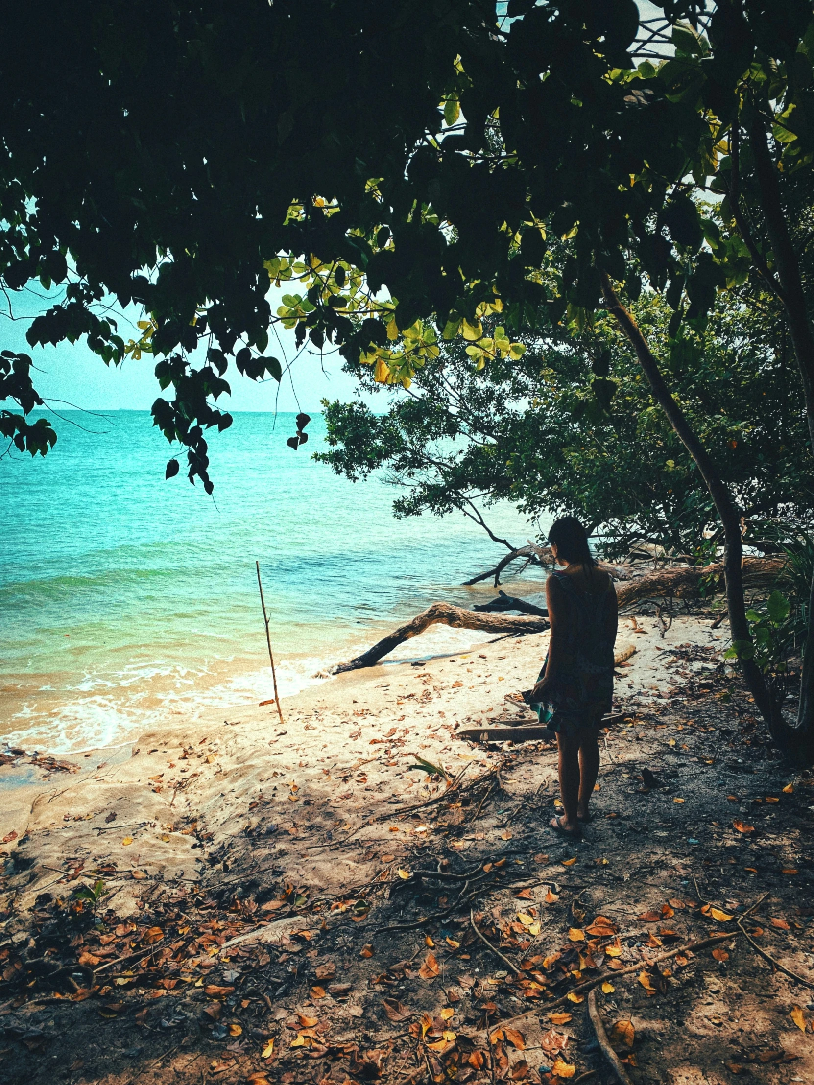 a child walks near the shore as a tree leans over