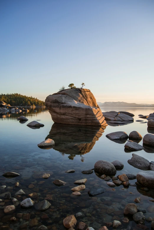 some rocks and trees in the water