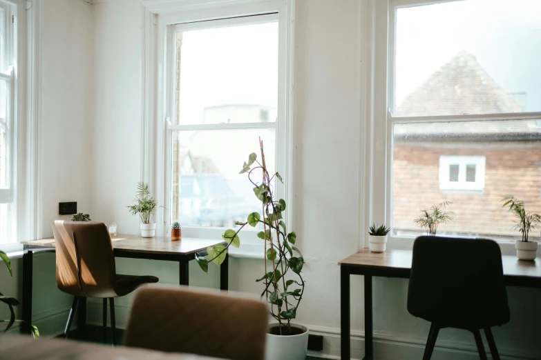 this room has two windows and a small table with some plants