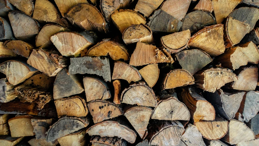 closeup view of firewood logs piled on top