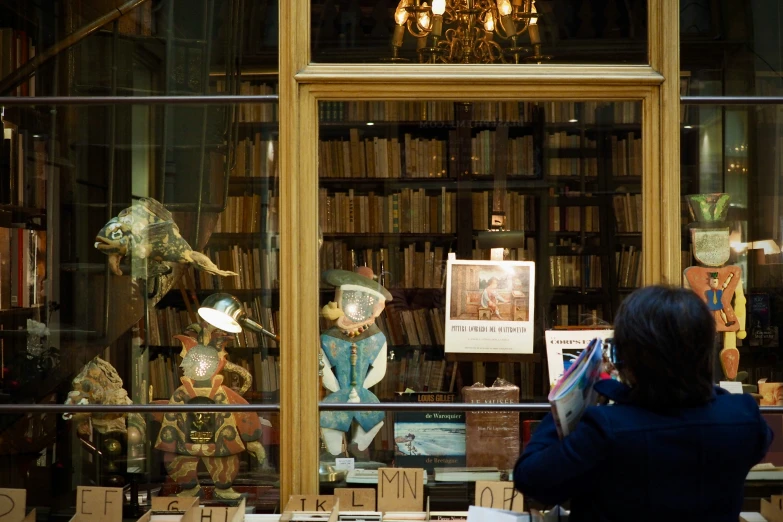 woman looking through glass at a bookcase filled with books