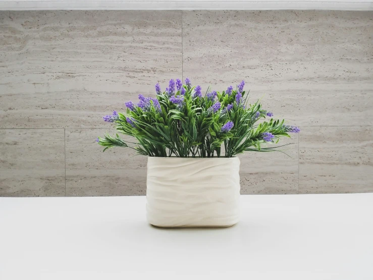 a plant is in the middle of a white table