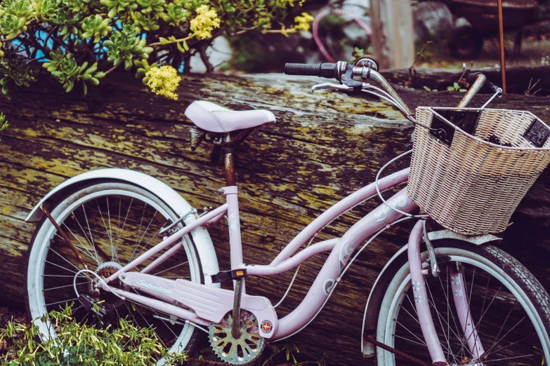 a pretty bicycle sitting by a log