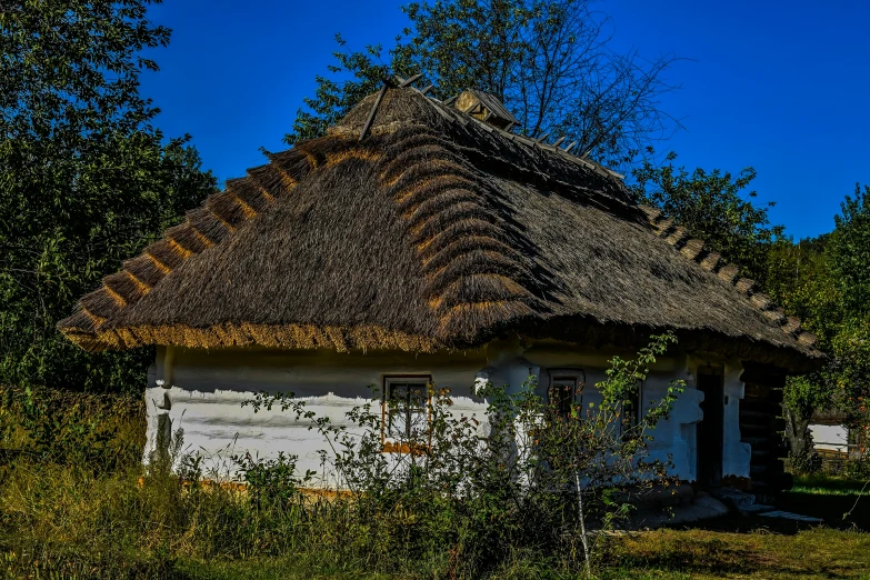 the small house has a tall roof and a grass covered front