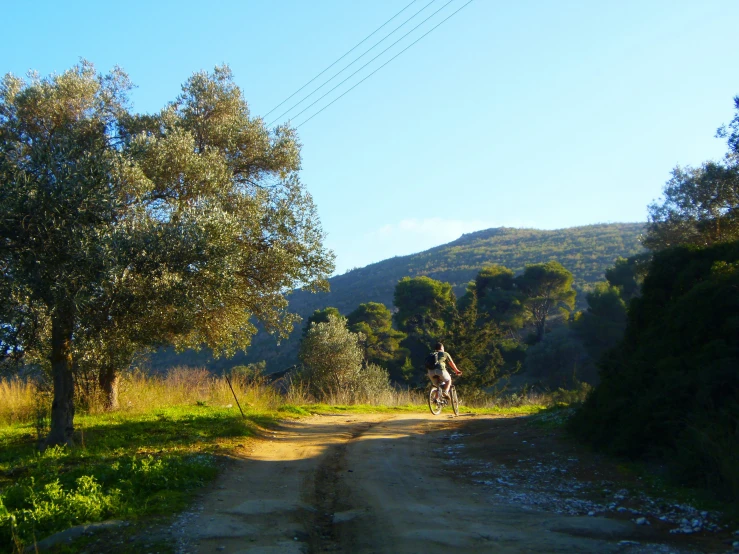 a person walking up a dirt road in the mountains