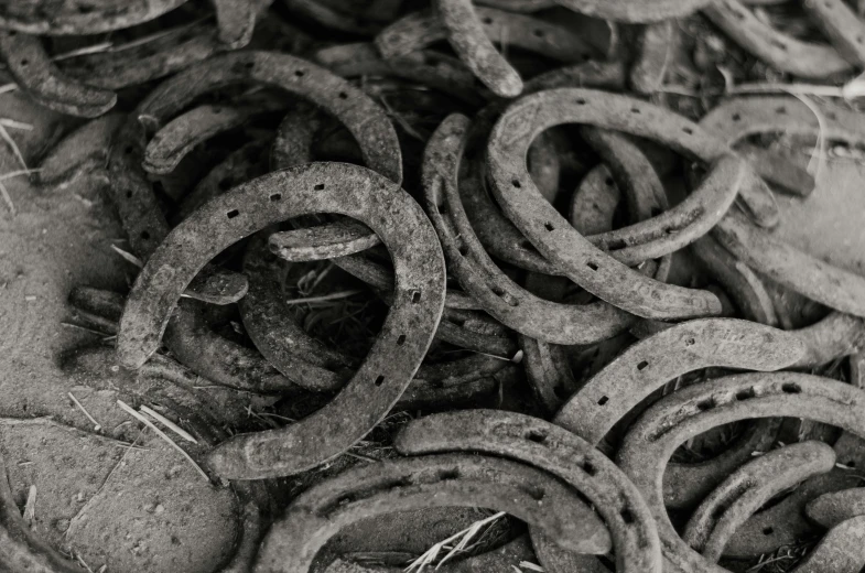 a bunch of horseshoes that are on some dry grass