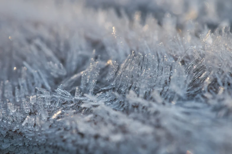 the top of a pile of ice covered grass