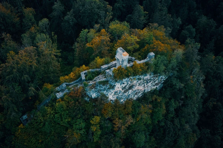 the building is in the middle of the tree covered forest