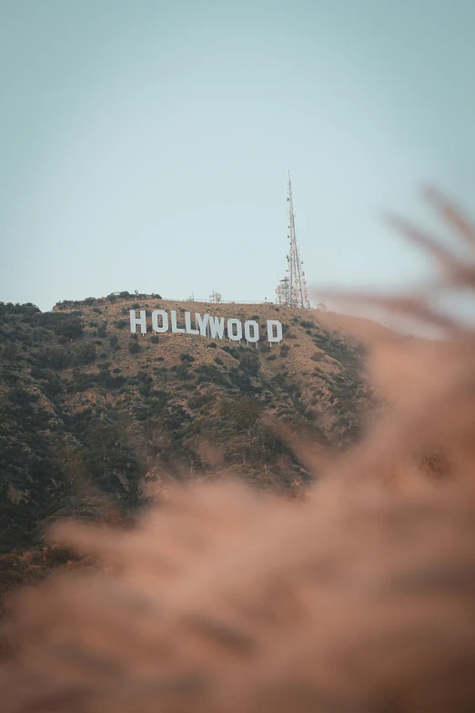 looking up at the hollywood sign from below