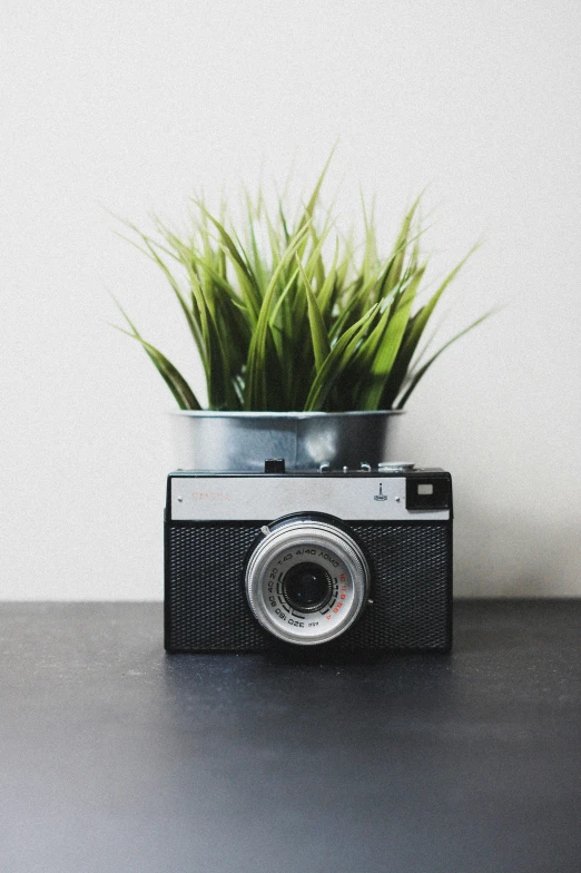 an old camera sitting next to a plant