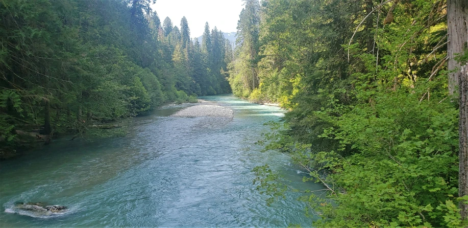 the stream has a narrow bed of blue water next to it