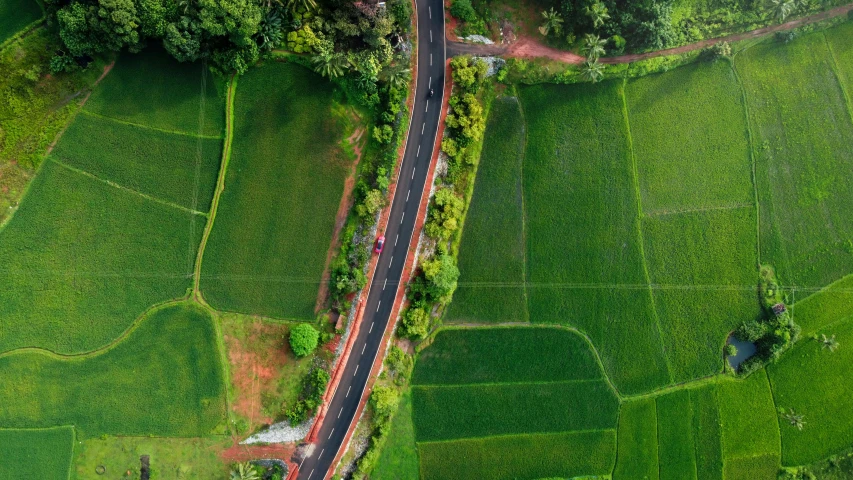 a long stretch of rural highway between two fields