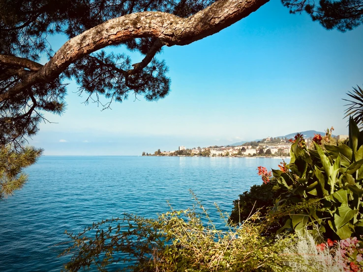 a clear blue body of water near some trees and bushes