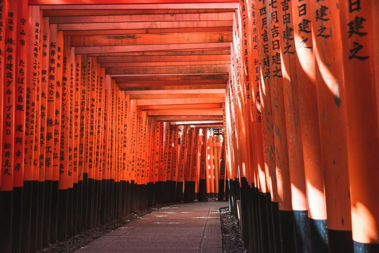 an outdoor tunnel lined with orange poles and writing