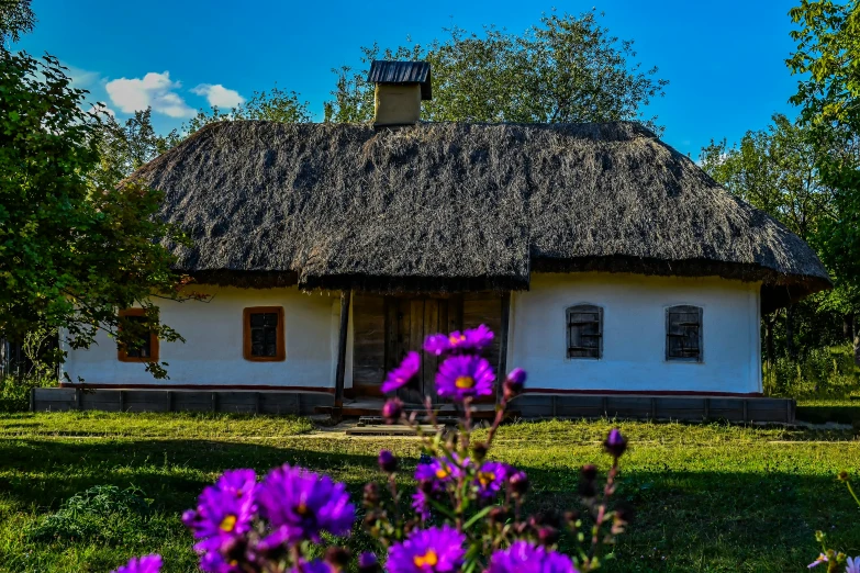 a pretty cottage with a little thatch on top