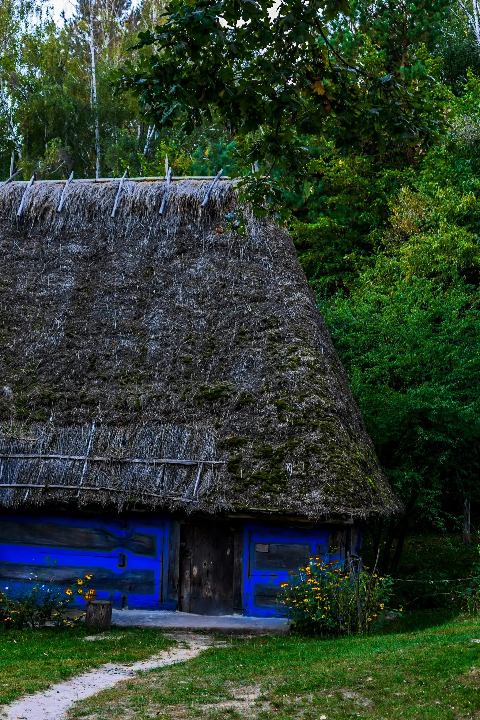 a small blue house in front of a group of trees