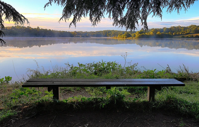 a bench near the water has flowers near by