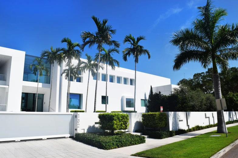 large white modern home with palm trees and shrubs on the side