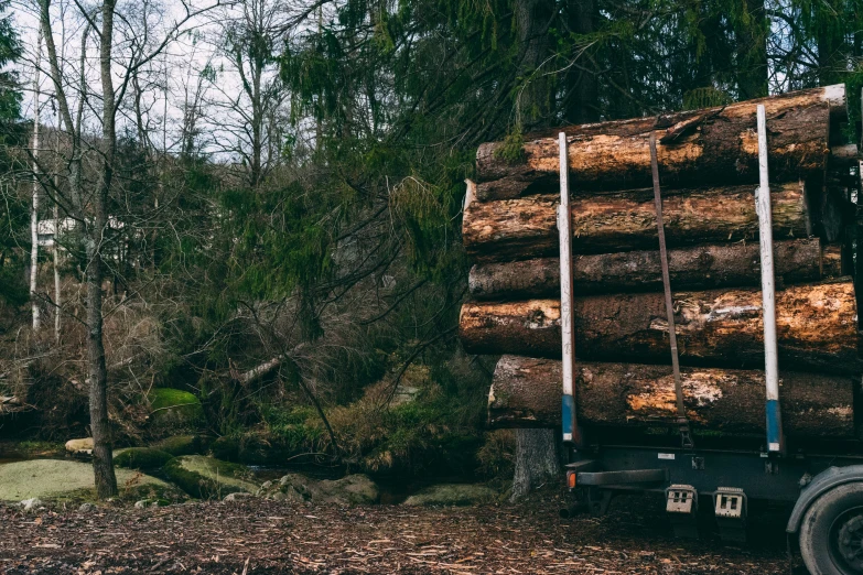 the truck has logs on it in the woods