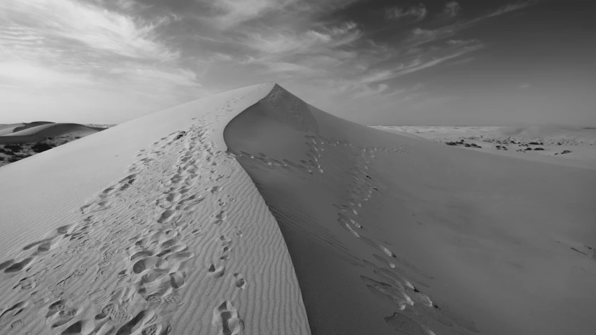 the dune appears to have very large footprints