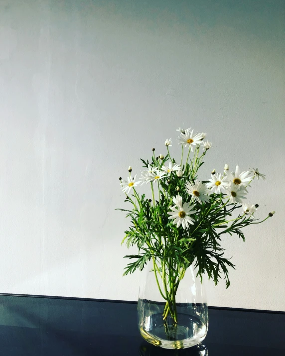 there is a vase with flowers sitting on a table
