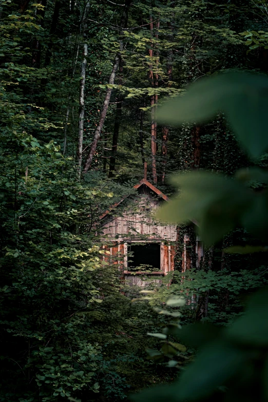 there is a shed that looks like it's been abandoned in the woods