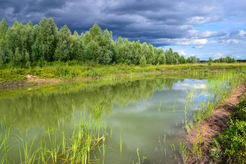 a small river running next to a forest under a cloudy sky