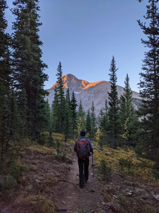 a person with a backpack on is walking through some trees