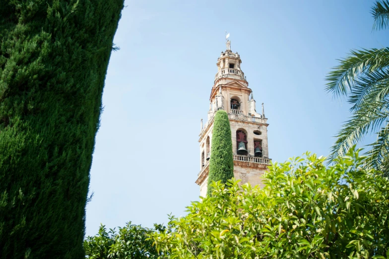 there are trees surrounding the tower of this building