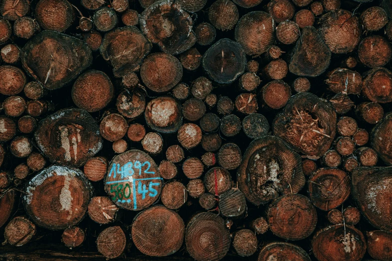 a group of chopped wood logs with graffiti on them