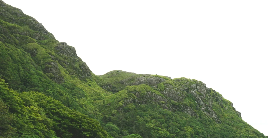 a very long mountain with lots of trees