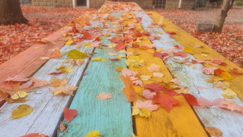 a long bench with many leaves on it