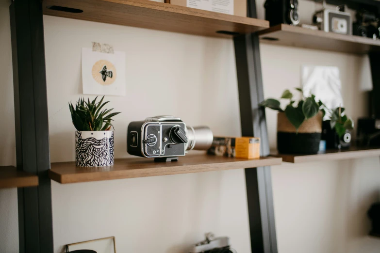 a camera on a wooden shelf with plants on it