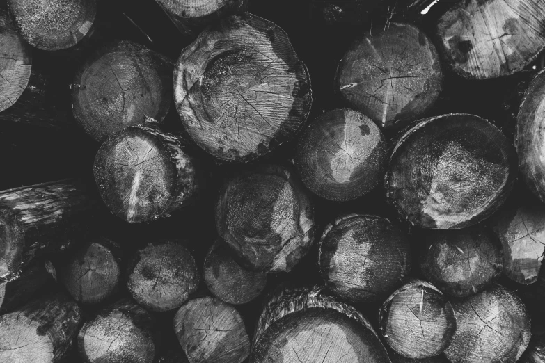 a black and white picture of wood slices