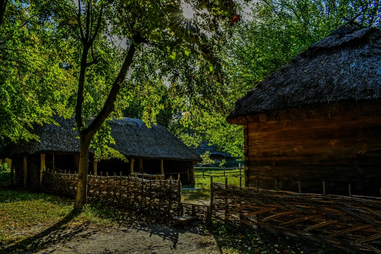 a rustic style wooden fence is in front of trees