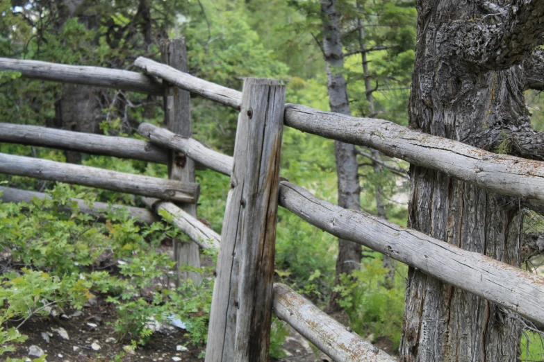 a wooden fence surrounded by green grass