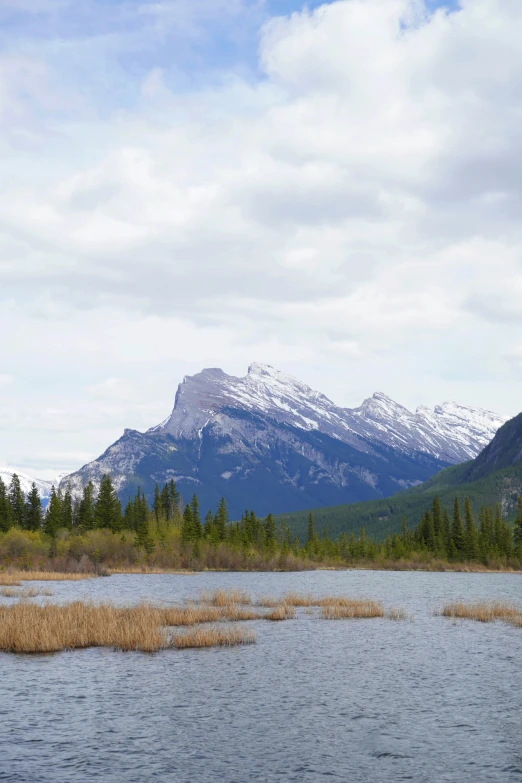 mountains with trees and a body of water