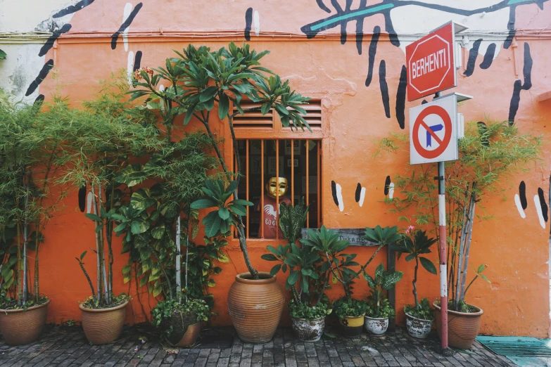 a large brick sidewalk next to a building with plants growing around