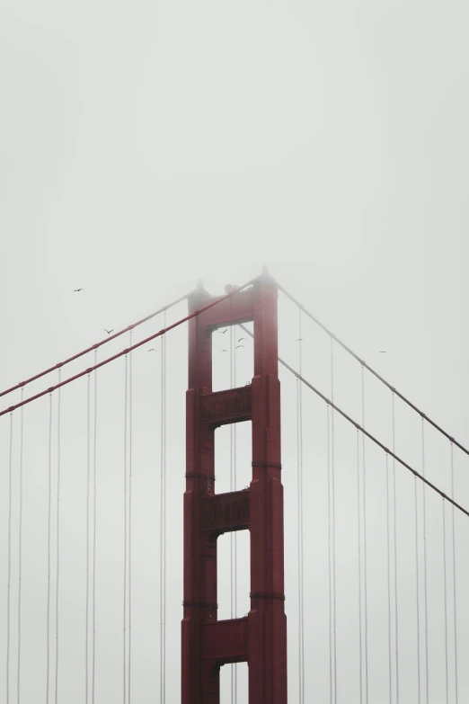 the fog hangs on top of the golden gate bridge