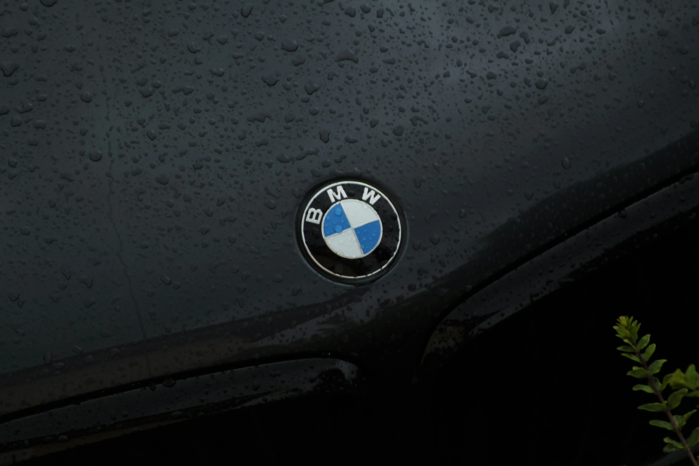 a close up of the emblem on a car