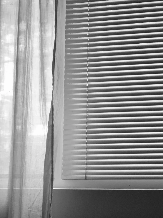 a black and white pograph of blinds with a cat