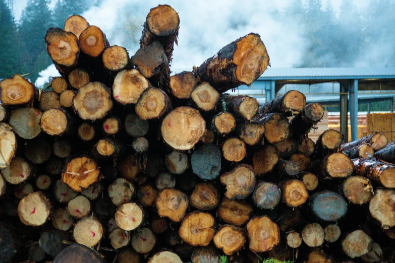 a pile of tree trunks sitting next to a truck